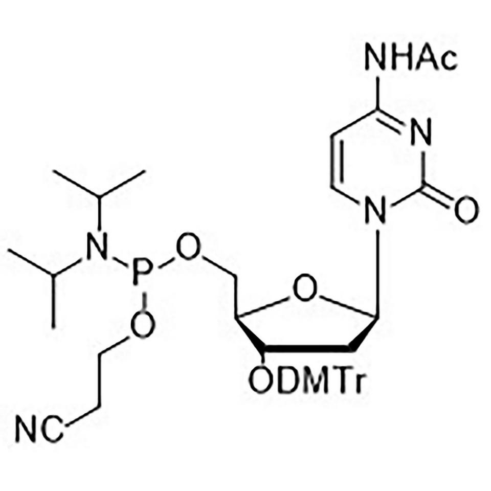 dC (Ac)-5' CE-Phosphoramidite